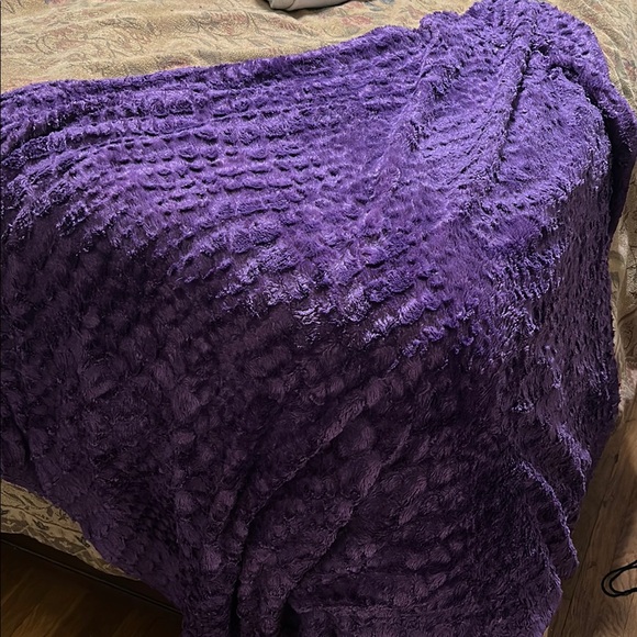 Xhilaration Purple Plush Blanket - Picture 1 of 3